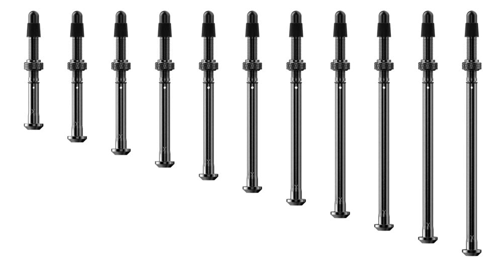 Quarq tyrewiz 2.0 tyre pressure valves 2 pieces | length d