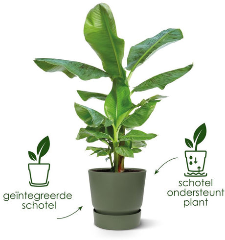 Elho greenville rond 25 - bloempot voor buiten met waterreservoir - 100% gerecycled plastic - ø 24.5 x h 23.3 cm - vintage pruim
