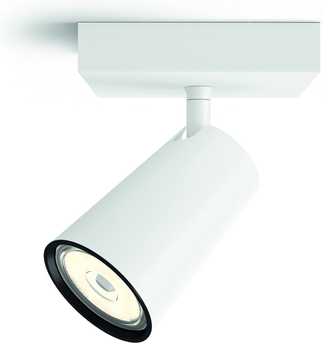 Philips led philips paisley opbouwspot - 1-lichts - wit