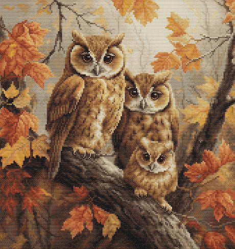Luca-s the owls family borduren (pakket) bu5045