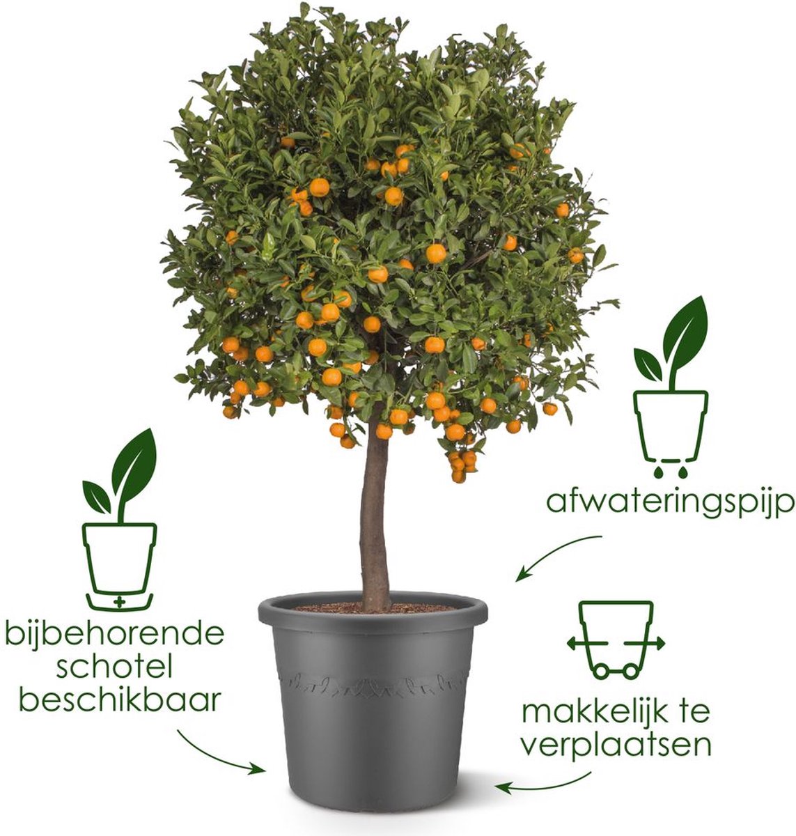 Elho algarve cilindro 30cm bloempot - antraciet