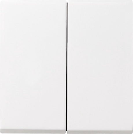 Gira systeem 55 besturingselement centrale plaat schakelmateriaal - 029503 - e2fuh