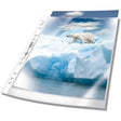 Durable showtassen 268219 transparant