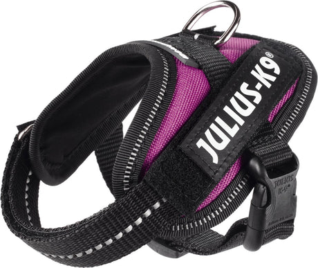 Julius k9 julius-k9 idc®powertuig, 3xs - baby1, donkerroze xxxs