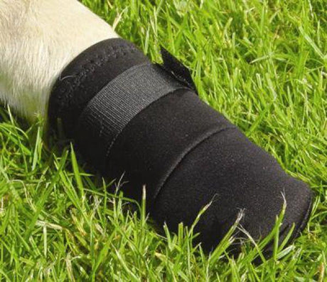 Beeztees hond beschermingsschoenen xl - hondensokken - pootbeschermer - zwart - 2st - 19,5x9,5x9 cm xl
