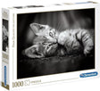 Clementoni - puzzel - 1000 stukjes - kitty - puzzel voor volwassenen - high quality collection