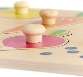 Haba houten inlegpuzzel kleuren educatief speelgoed multicolor.
