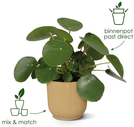 Elho vibes fold rond 18 - bloempot voor binnen - 100% gerecycled plastic - ø 18.4 x h 16.8 cm - linen white