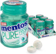 Mentos kauwgom wintergreen bottle (6x 30 stuks)