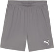 Puma teamgoal shorts heren sportbroek - cast iron- white
