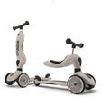 scoot and ride - highwaykick 1 - ash