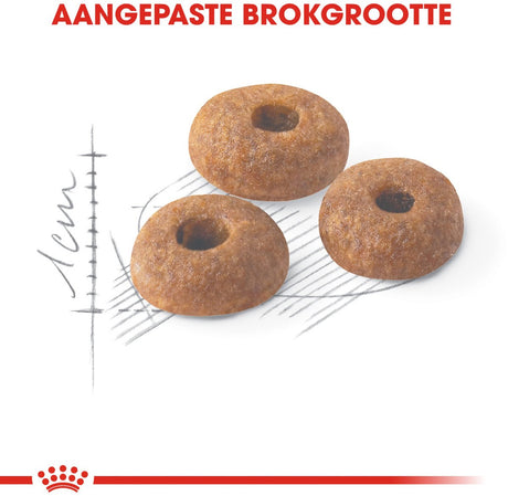 Royal canin fit 32 - kattenvoer - 4kg - hoogwaardige voeding