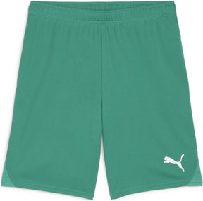 Puma teamgoal shorts heren sportbroek - sport green- white xxl