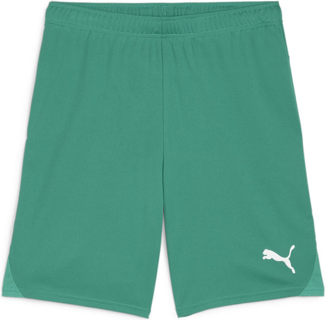 Puma teamgoal shorts heren sportbroek - sport green- white xxl