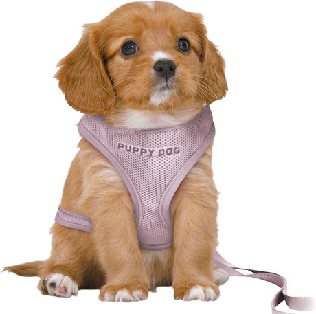 Trixie - hondentuig - junior - puppy softtuig - met riem - lila - 36-50x1 cm 2 m m-l