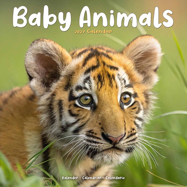 Avonside baby animals kalender 2027