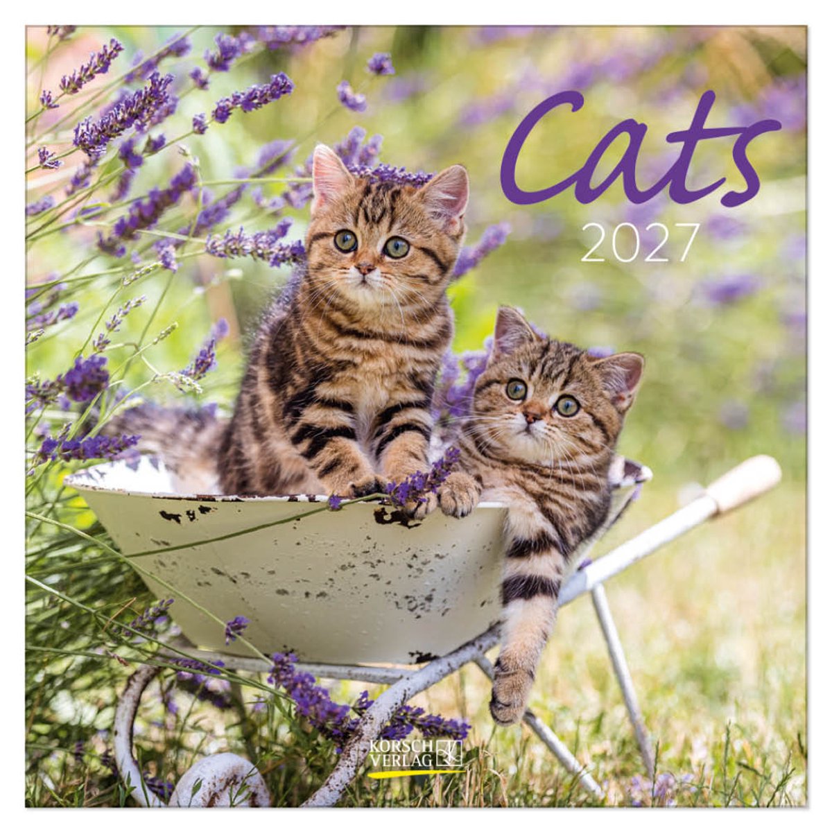 Korsch verlag katten kalender 2027