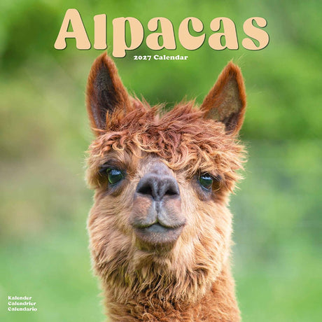 Avonside alpaca kalender 2027