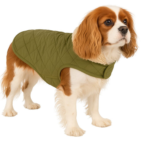 Flamingo hondenjas – bonnie – honden jas – hondenjasjes winter – hondenjas waterdicht – 40 cm – a:40cm b:34-40cm c:54-60cm – groen s
