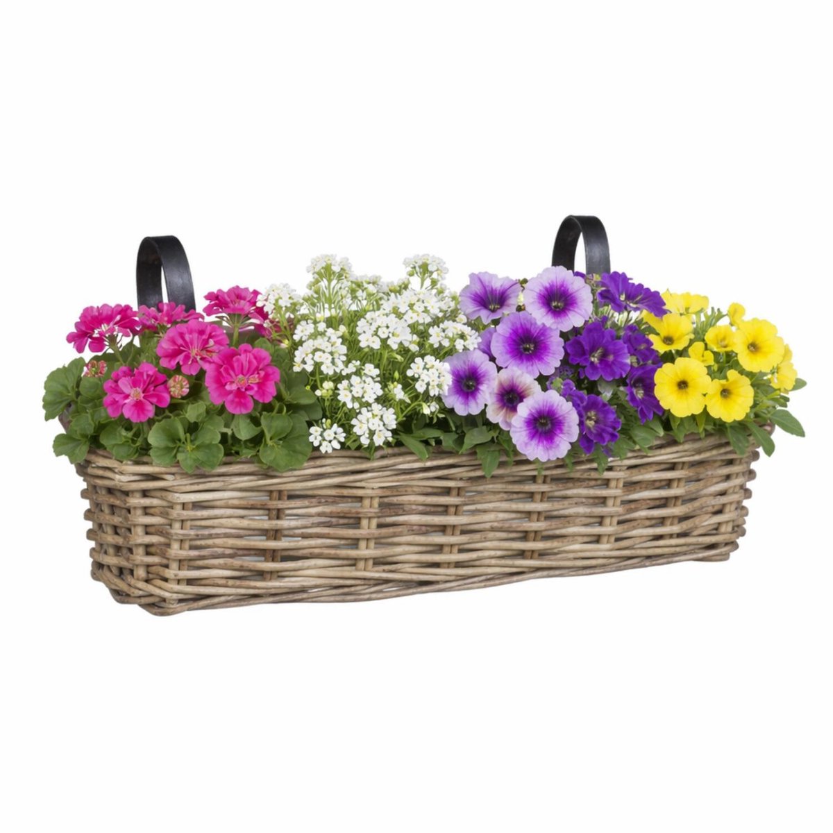 Mica decorations hangmand voor planten - 46 x 19 x 15 cm - gevlochten - hangende railing plantenbak - beugels