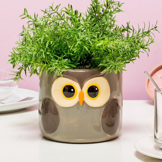 Balvi dieren bloempot - uil