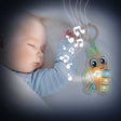 Lisciani - carotina baby - rammelaar wortel - met geluid