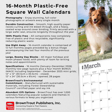Browntrout sheltie - shetland sheepdog kalender 2026