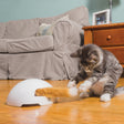 Frolicat vossenhol - automatische kattenplager - kattenspeelgoed one size