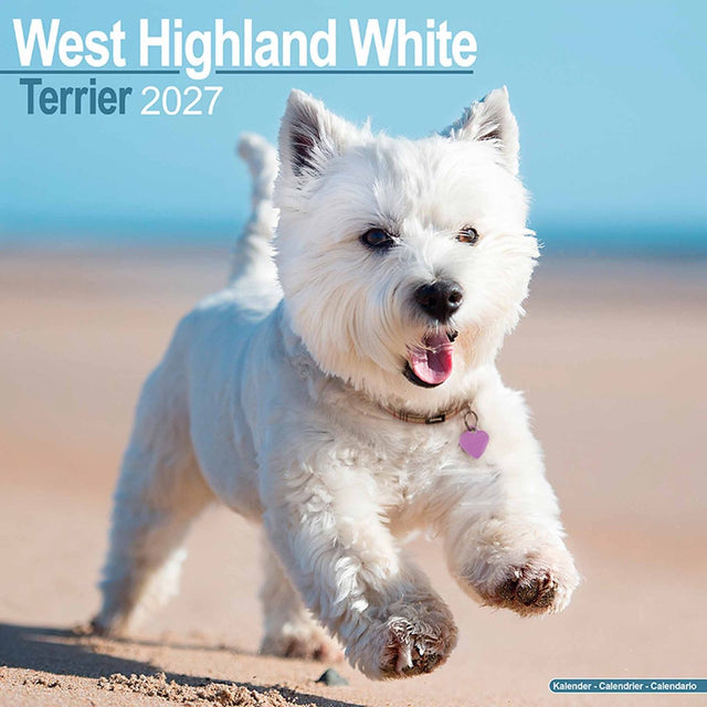Avonside west highland white terrier kalender 2027