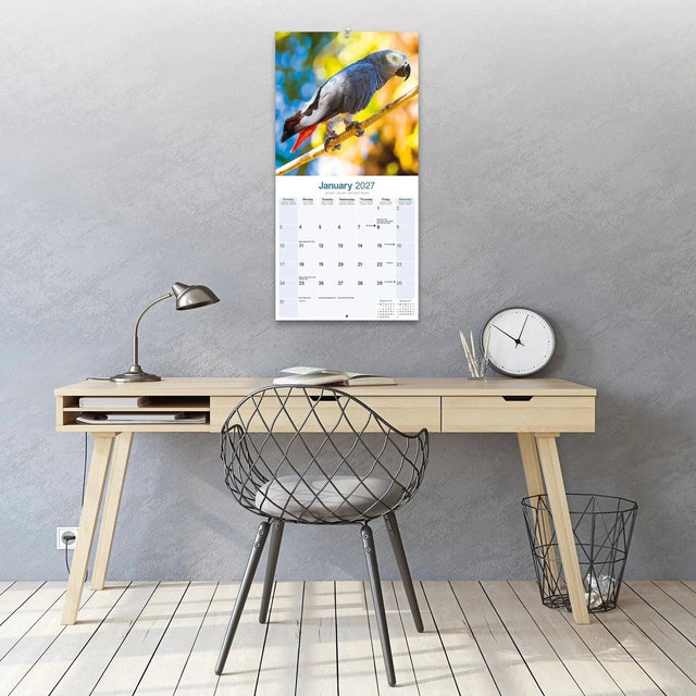 Avonside grijze roodstaart kalender 2027