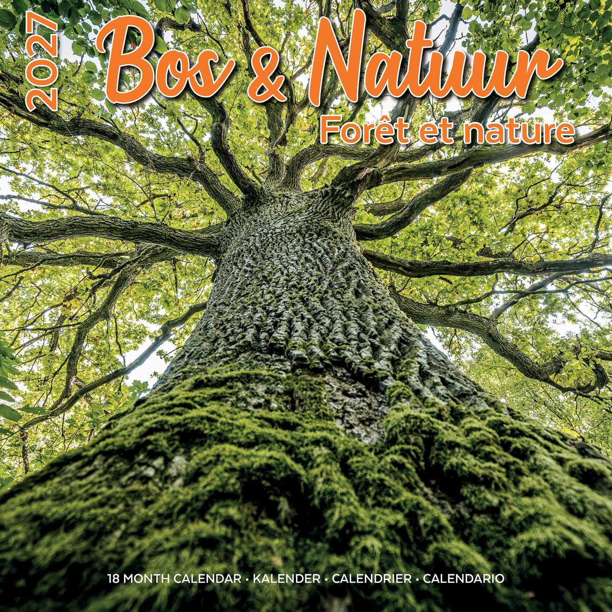 Plenty gifts bos en natuur kalender 2027