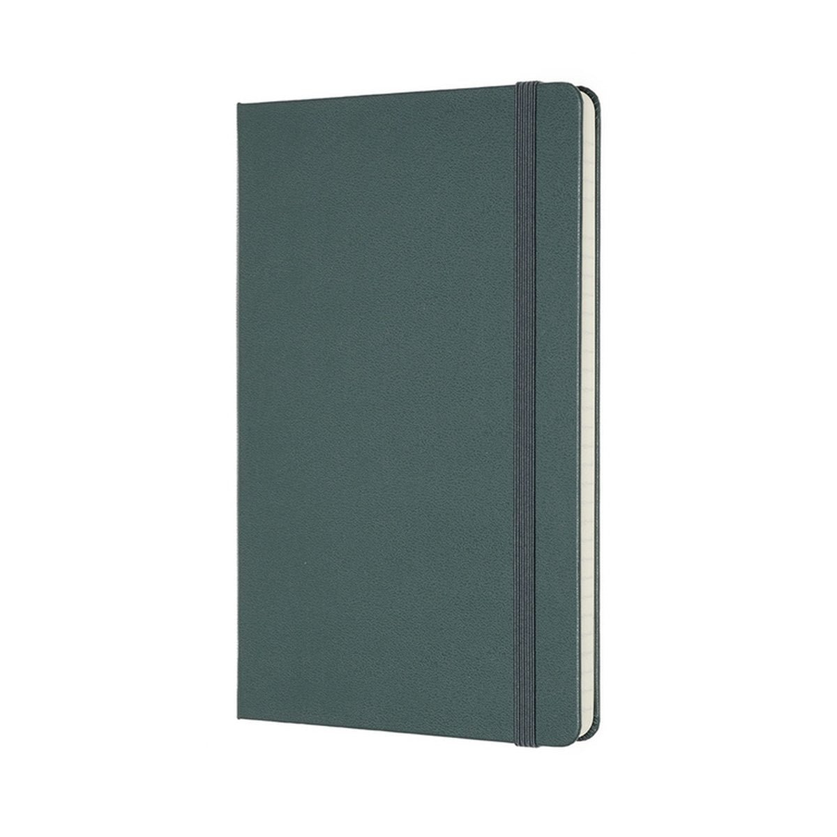 Moleskine professional notitieboek - large - hardcover - bos groen