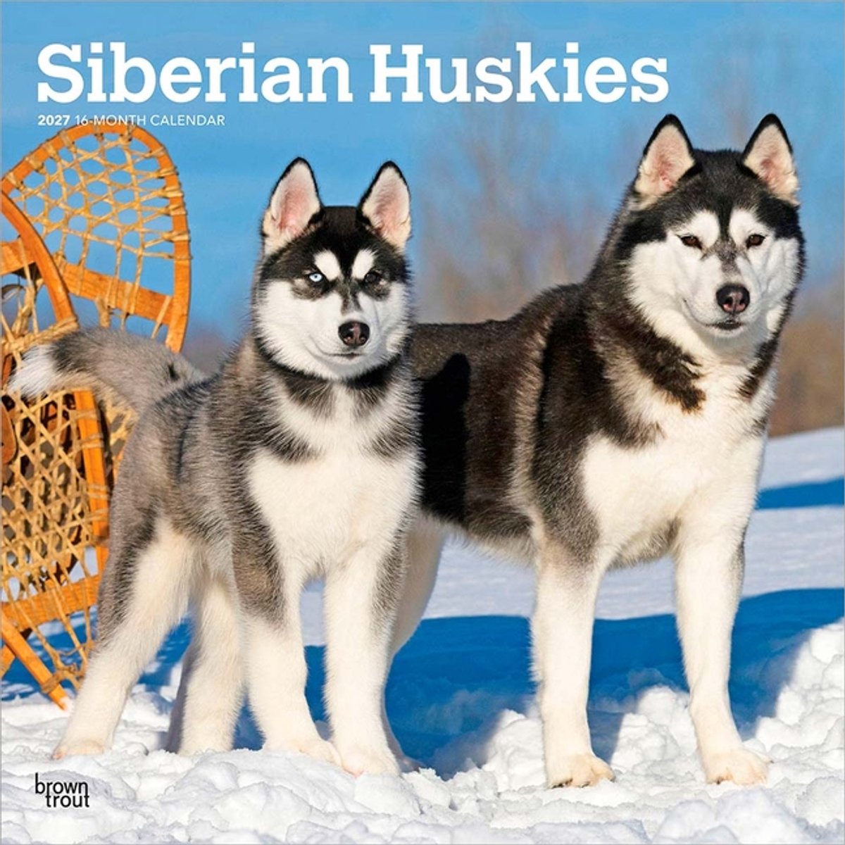 Browntrout siberian husky kalender 2027