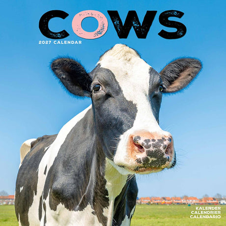 Avonside koeien kalender 2027