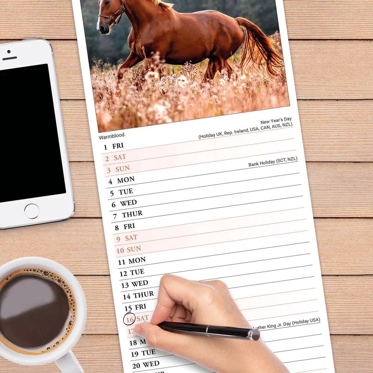 Avonside paarden kalender 2027 slimline