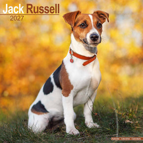 Avonside jack russell terrier kalender 2027