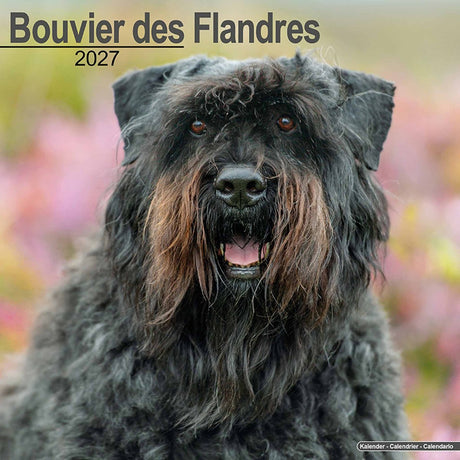 Avonside bouvier kalender 2027