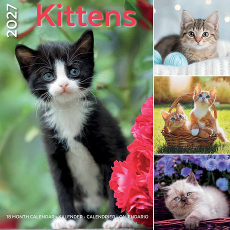 Plenty gifts i love kittens kalender 2027