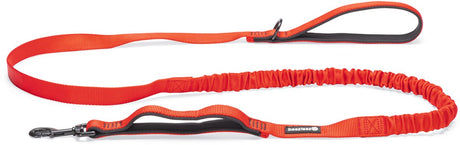 Beeztees parinca premium elastische hondenriem - hondenlijn - weersbestendig - nylon - rood - 180cmx25mm