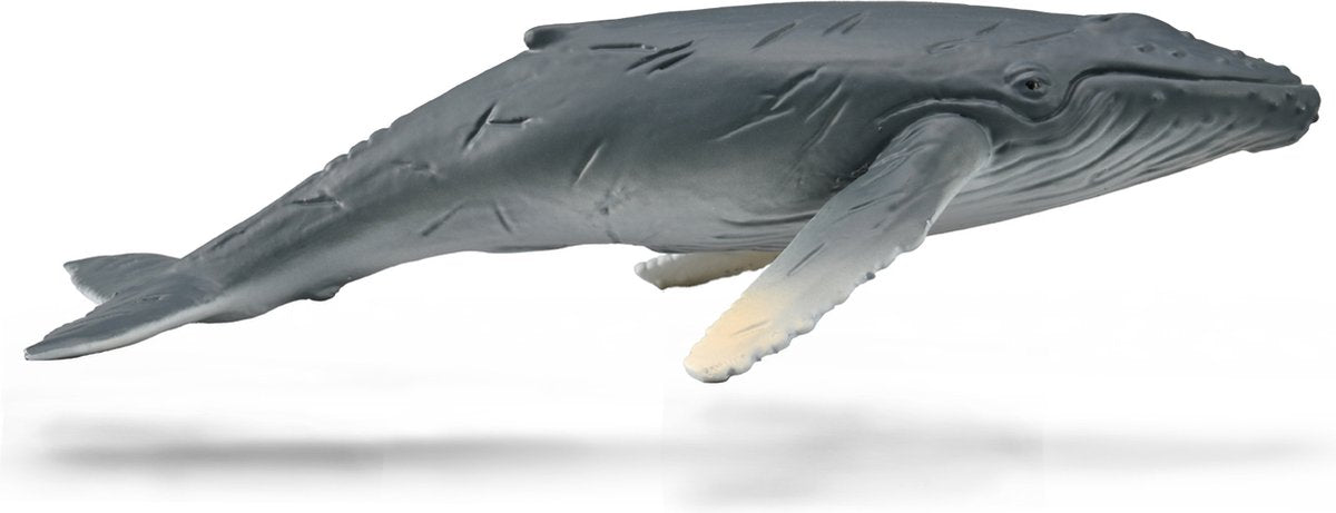 Collecta figurine - bultrug walviskalf - (m) - zeedieren - handgeschilderd - miniatuur