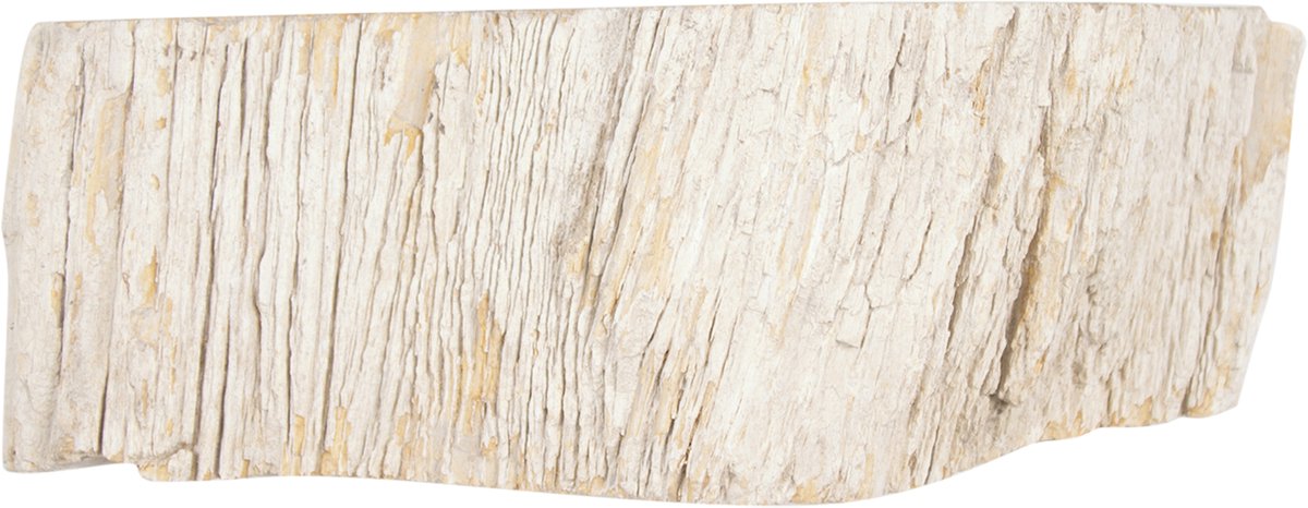 Differnz fossil waskom 45x12cm hout crã©me