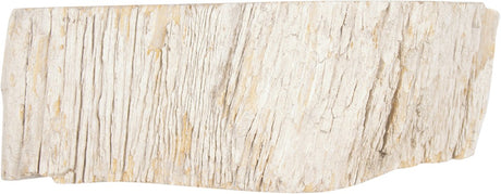 Differnz fossil waskom 45x12cm hout crã©me