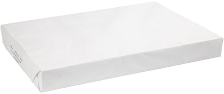 Creativ company papier - tekenpapier - hobbypapier - wit - diy, knutselen, tekenen - a2 - 42x60cm - 160 grams - 250 vellen