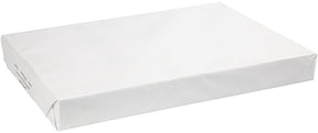 Creativ company papier - tekenpapier - hobbypapier - wit - diy, knutselen, tekenen - a2 - 42x60cm - 160 grams - 250 vellen