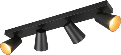 4017807613100