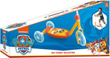 Mondo my first stepje paw patrol
