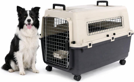 Flamingo reisbench hond – autobench – transportbox hond – fomad donkergrijs l (57x80x59,5 cm) – kunststof – met metalen deur veiligheidsslot – inclusief eet- en drinkpot wielen – l