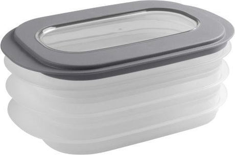 Sunware sigma home vleeswarendoos - 26.5x17.2x10.5 cm - transparant grijs
