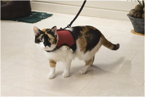 Beeztees loopharnas comfort - kattentuigje m