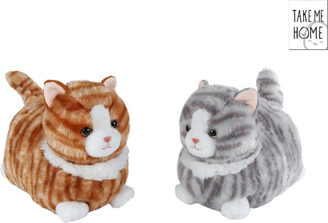 Take me home poes pluche knuffel liggend 25cm zacht speelgoed kat.